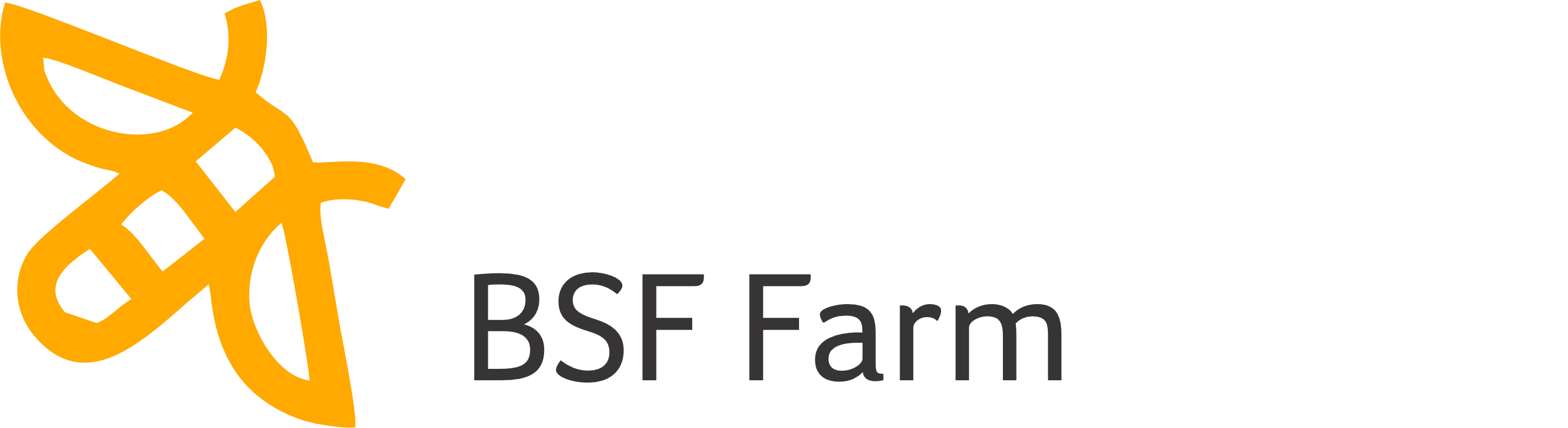 Biodigital BSF